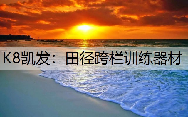 K8凯发：田径跨栏训练器材