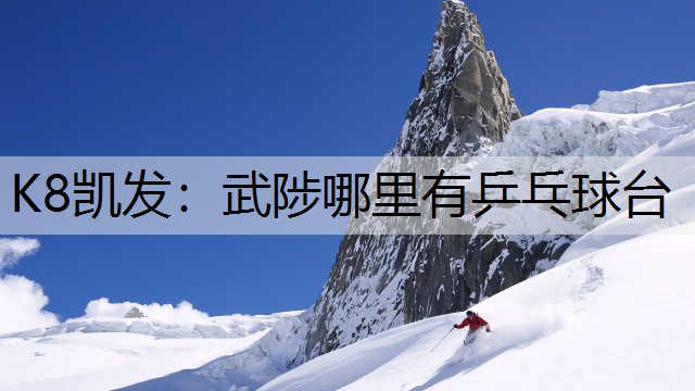 K8凯发：武陟哪里有乒乓球台