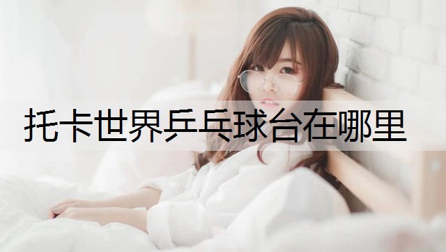 托卡世界乒乓球台在哪里