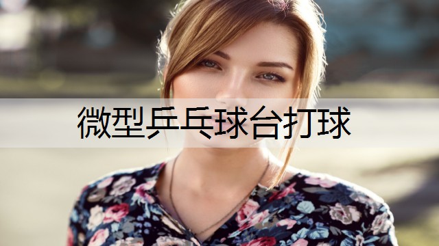 微型乒乓球台打球