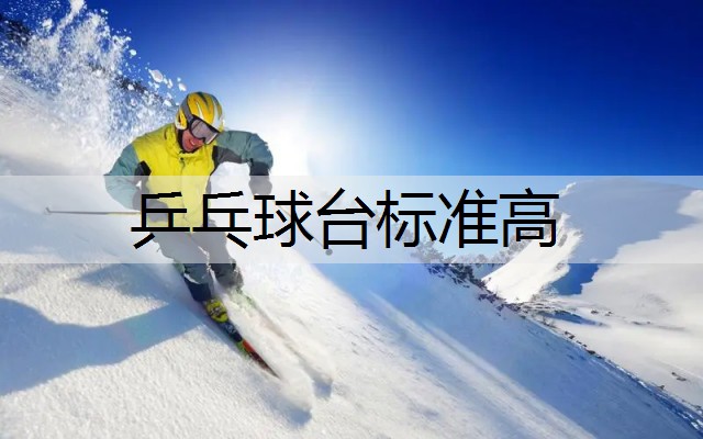 乒乓球台标准高