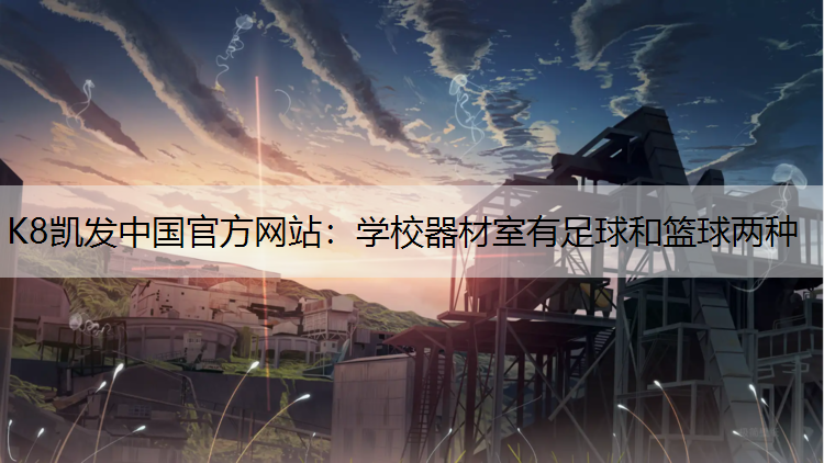 K8凯发中国官方网站：学校器材室有足球和篮球两种