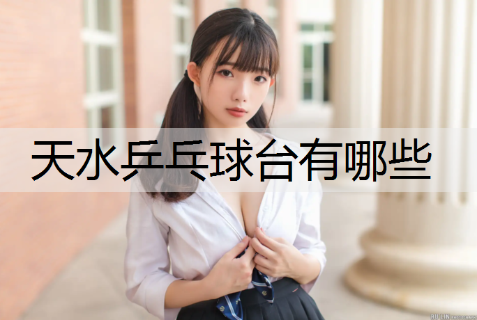 天水乒乓球台有哪些