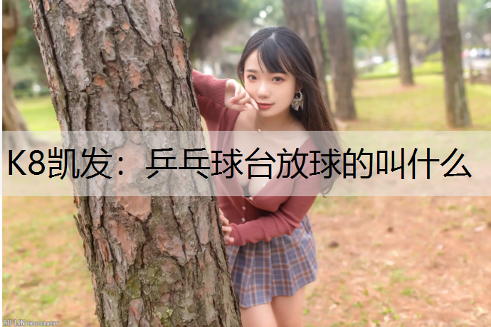 K8凯发：乒乓球台放球的叫什么