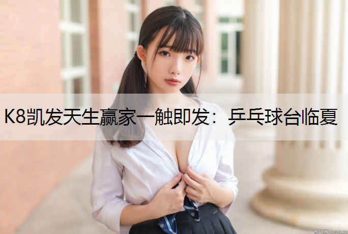 K8凯发天生赢家一触即发：乒乓球台临夏