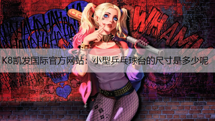 K8凯发国际官方网站：小型乒乓球台的尺寸是多少呢