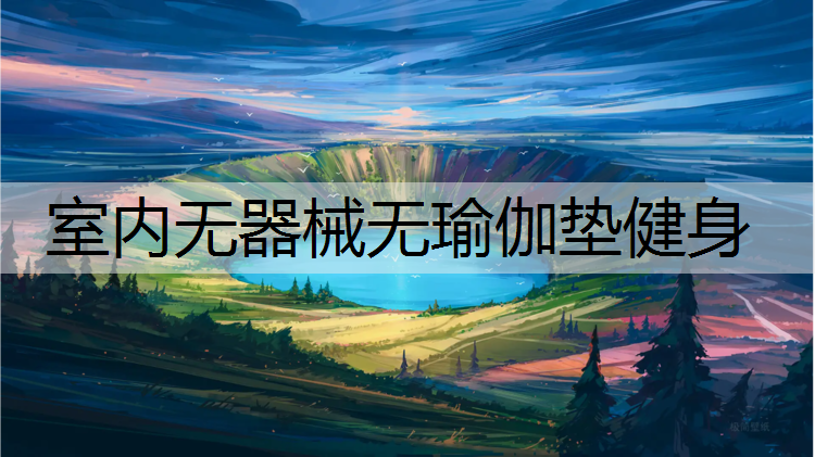 室内无器械无瑜伽垫健身