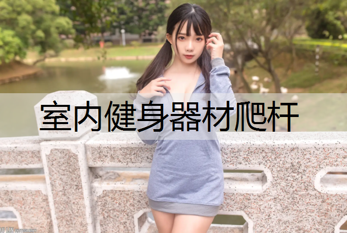 室内健身器材爬杆