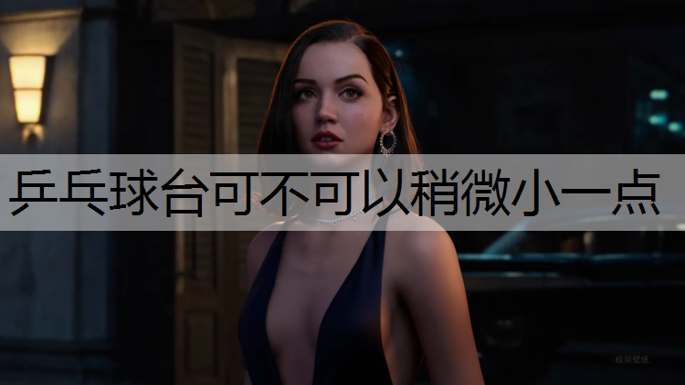乒乓球台可不可以稍微小一点