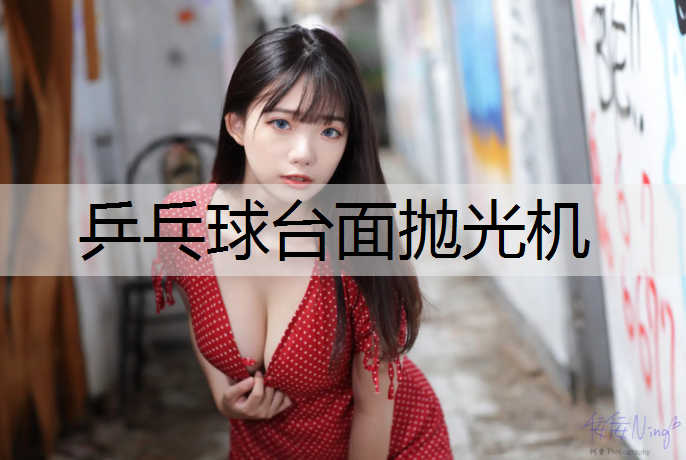 乒乓球台面抛光机