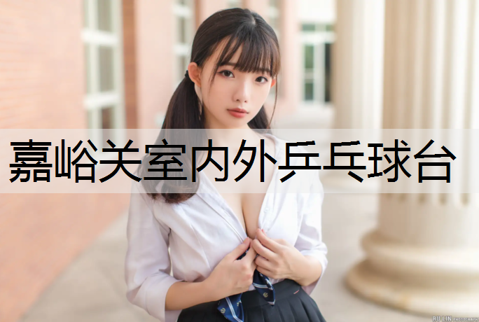 嘉峪关室内外乒乓球台