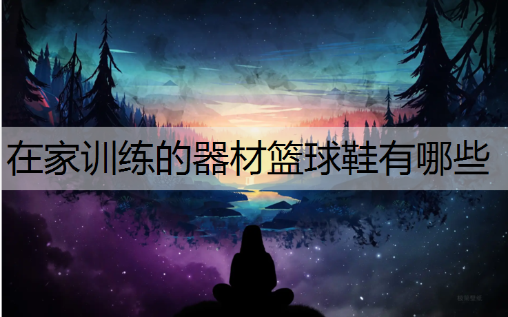 在家训练的器材篮球鞋有哪些