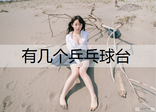 有几个乒乓球台