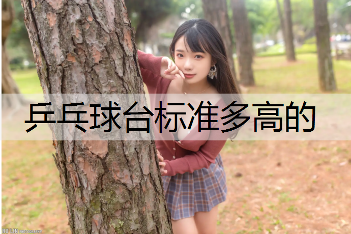 乒乓球台标准多高的