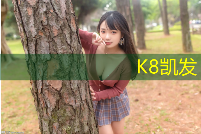 K8凯发：健身房踏步机货源充足