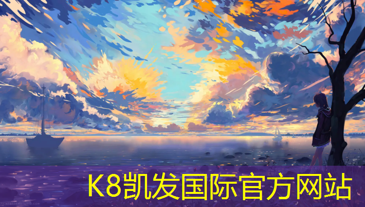k8凯发官网入口：塑胶跑道清洁机械
