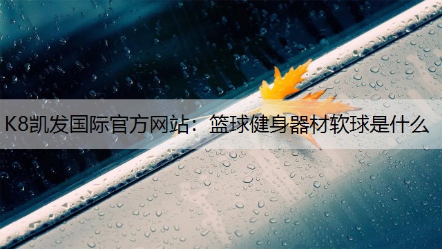 篮球健身器材软球是什么