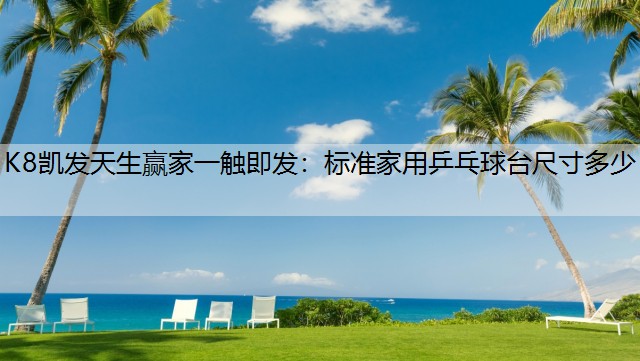 标准家用乒乓球台尺寸多少
