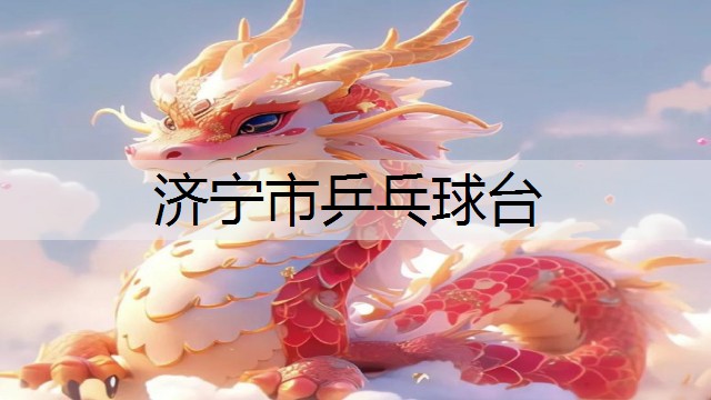 济宁市乒乓球台
