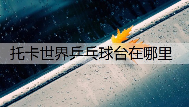 托卡世界乒乓球台在哪里