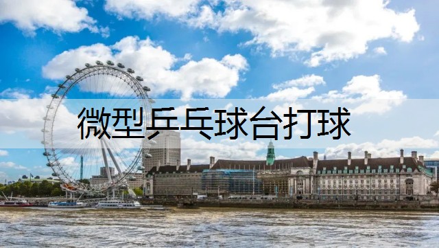微型乒乓球台打球