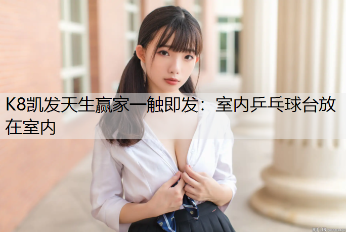 室内乒乓球台放在室内