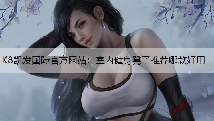 室内健身凳子推荐哪款好用