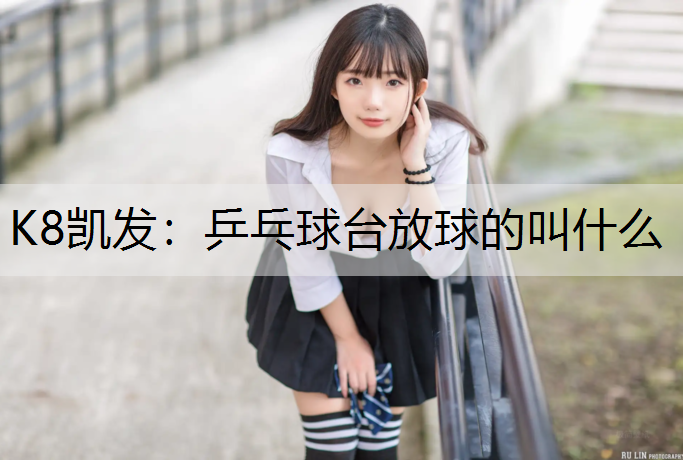 乒乓球台放球的叫什么