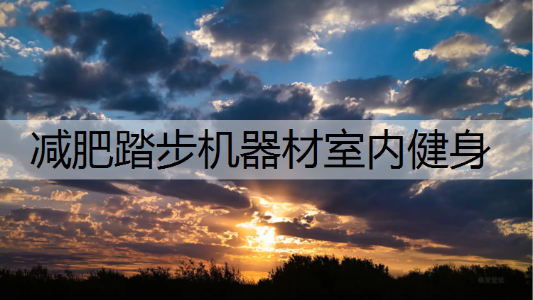 减肥踏步机器材室内健身