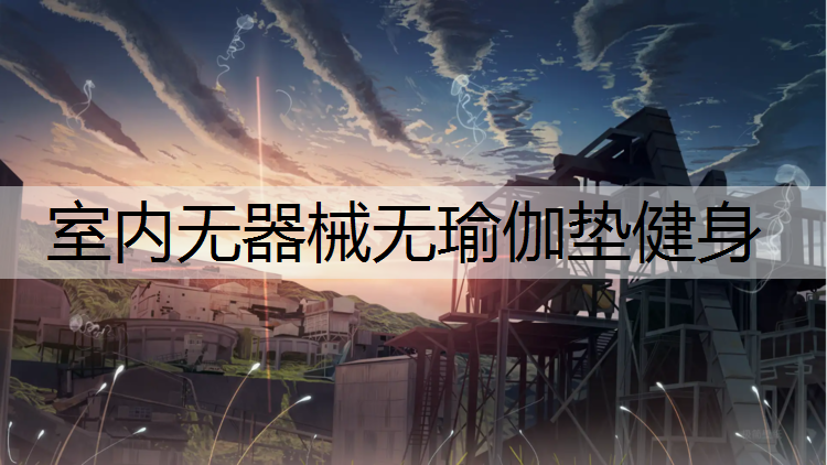 室内无器械无瑜伽垫健身