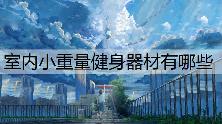 室内小重量健身器材有哪些