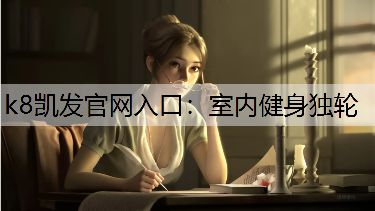 室内健身独轮