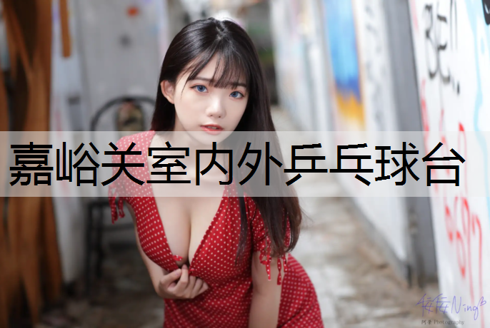 嘉峪关室内外乒乓球台