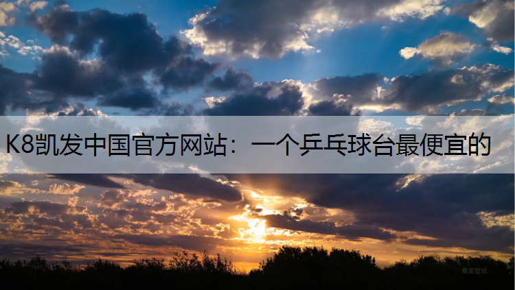 一个乒乓球台最便宜的